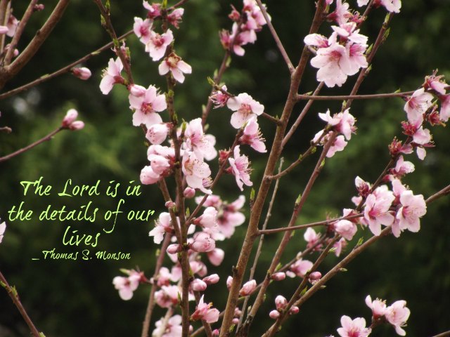 The Lord is in the details of our lives.