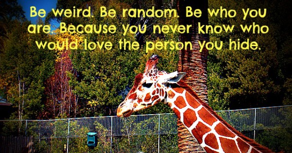 Be Weird. Be Random.