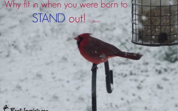 Why fit in when you were born to stand out!