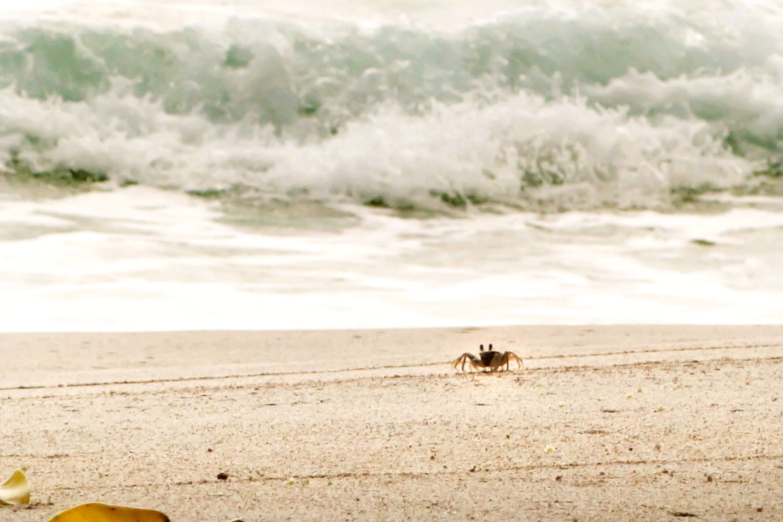 Courage Determination