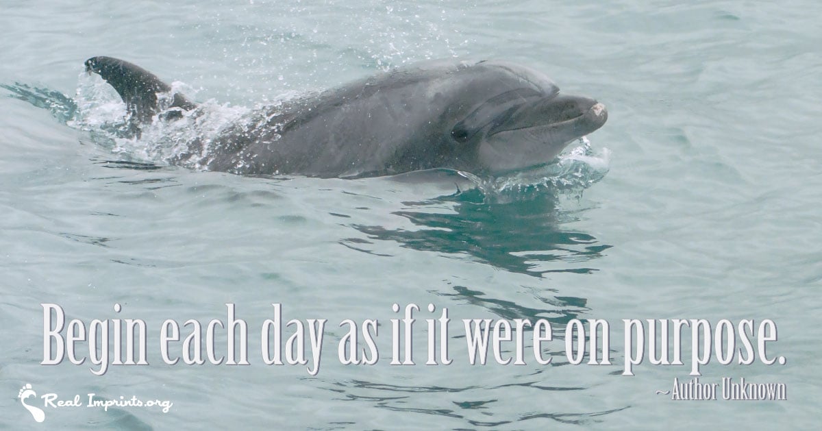 What if we Began Each Day as if it were on Purpose?